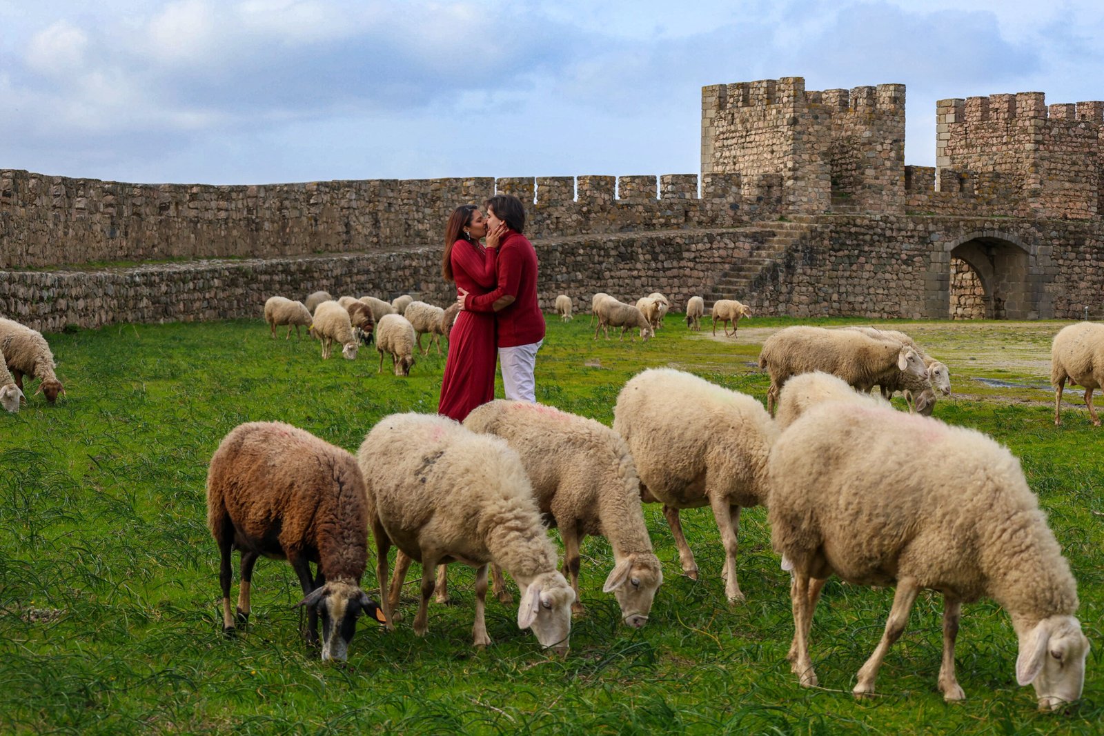 Gustavo e Rute se beijando com ovelhas em volta
